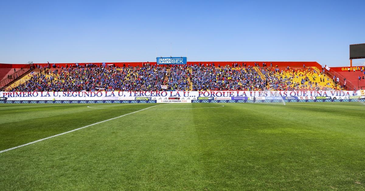 Hinchas - Partido vs Palestino