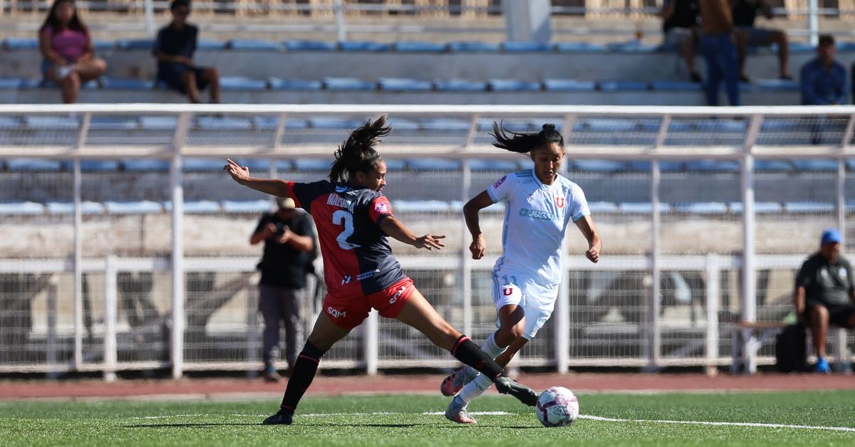 ¡Nos vemos el sábado en Maipú! Las Leonas reciben a Antofagasta en el Santiago Bueras
