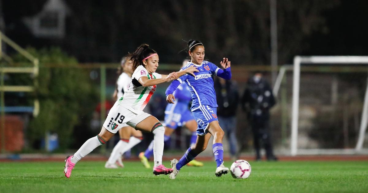 Las Leonas visitan a Palestino para cerrar la fase regular del Campeonato Femenino