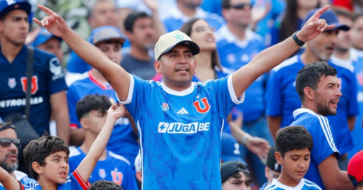 Hinchas - Partido vs Everton (Fecha 30 Campeonato 2024) (Parte 2)