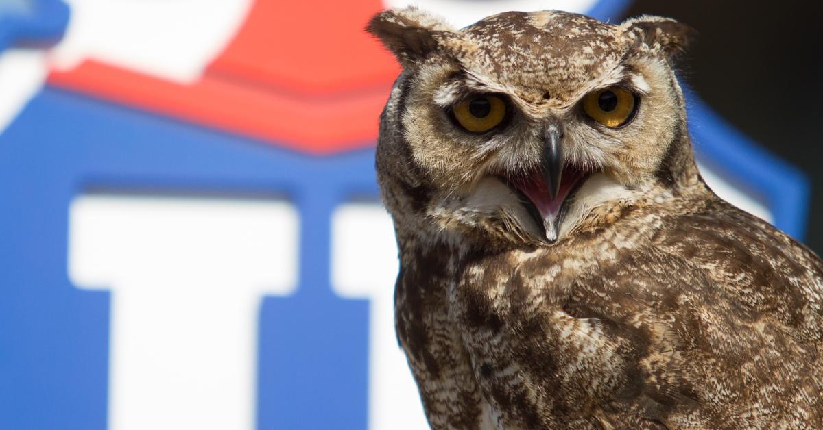 La historia de nuestra insignia: el origen del Chuncho como emblema de la U